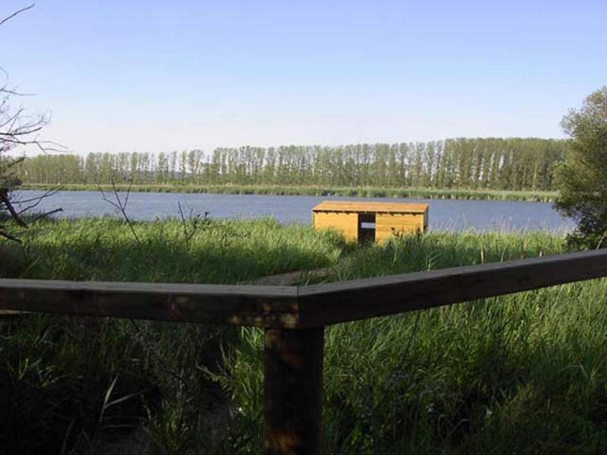 Castronuno Beautiful Alamedas - Una Casa Rural Con Una Historia Unica מראה חיצוני תמונה