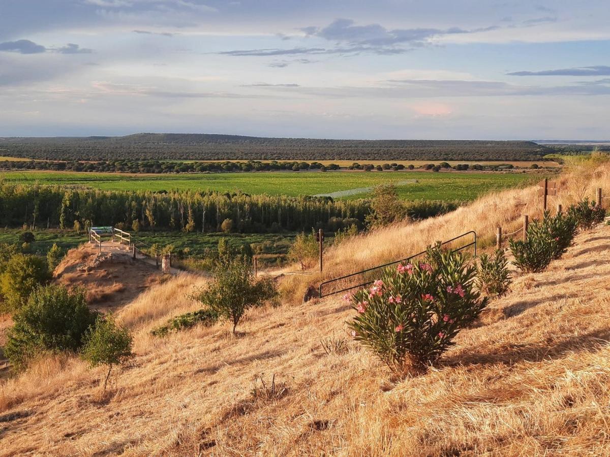 Castronuno Beautiful Alamedas - Una Casa Rural Con Una Historia Unica מראה חיצוני תמונה