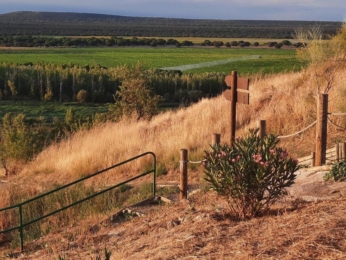 Castronuno Beautiful Alamedas - Una Casa Rural Con Una Historia Unica מראה חיצוני תמונה